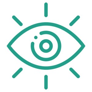 vission icon